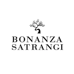 Bonanza Satrangi logo
