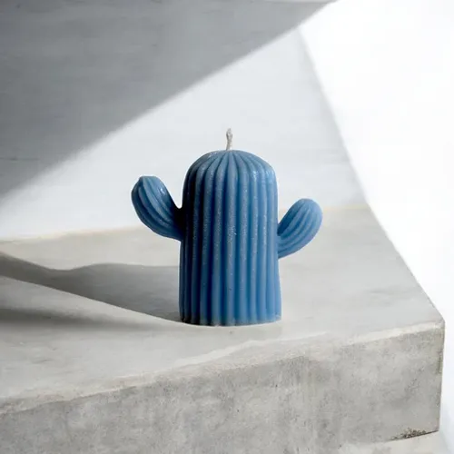 Cactus Scented Candle by Scent You - Original creation | Pakistani fragrance for unisex