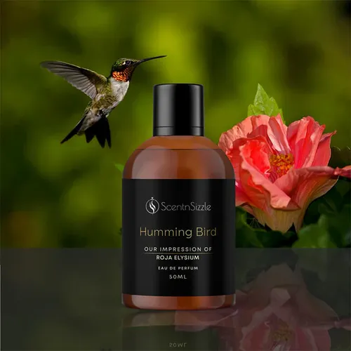 Humming Bird perfume by ScentnSizzle