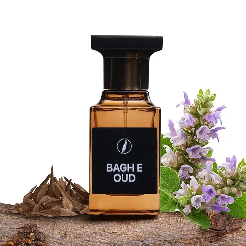 BAGH E OUD Eau de Parfum (EDP) by Scents N Stories - Impression perfume | Pakistani fragrance for unisex