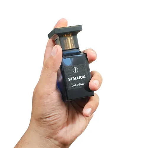 STALLION Eau de Parfum (EDP) by Scents N Stories - Impression perfume | Pakistani fragrance for male