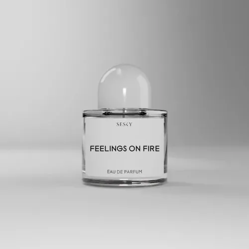 Feelings On Fire Eau de Parfum (EDP) by Sesky - Impression perfume | Pakistani fragrance for male