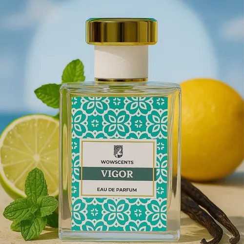 VIGOR Eau de Parfum (EDP) by Wow Glams - Impression perfume | Pakistani fragrance for male